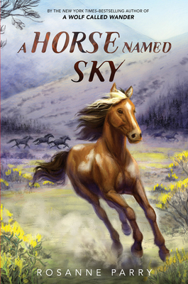 A Horse Named Sky: A Realistic Historical Fiction about the Pony Express (A Voice of the Wilderness Novel)