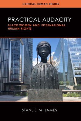 Practical Audacity: Black Women and International Human Rights (Critical Human Rights)