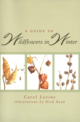 A Guide to Wildflowers in Winter: Herbaceous Plants of Northeastern North America [Paperback] Levine, Carol