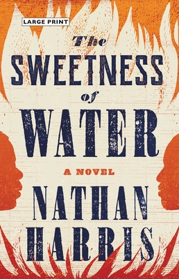 The Sweetness of Water: A Novel