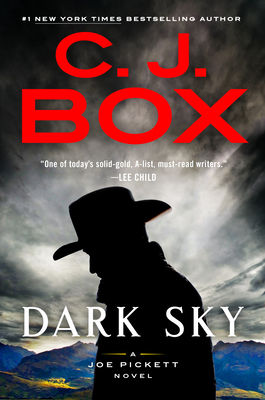 Image for Dark Sky (A Joe Pickett Novel)