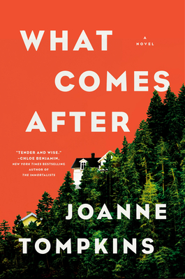 Image for What Comes After: A Novel