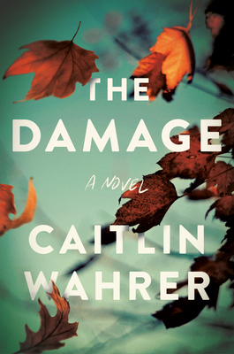 The Damage: A Novel