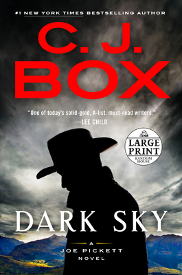 Image for Dark Sky (A Joe Pickett Novel)
