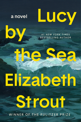 Lucy By The Sea: A Novel