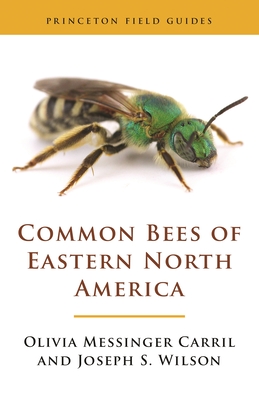 Image for Common Bees of Eastern North America (Princeton Field Guides, 123)