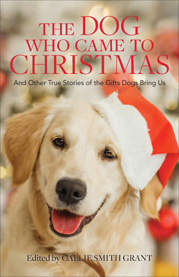 Image for Dog Who Came to Christmas Dog Who Came to Christmas