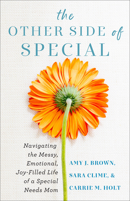 Image for The Other Side of Special: Navigating the Messy, Emotional, Joy-Filled Life of a Special Needs Mom