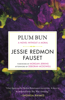 Plum Bun A Novel Without A Moral