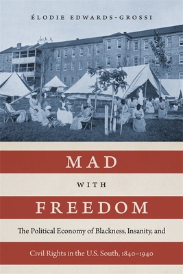 Mad with Freedom: The Political Economy of Blackness, Insanity, and Civil Rights in the U.S. South, 18401940 (Jules and Frances Landry Award)