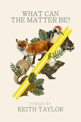 What Can the Matter Be (Made in Michigan Writer Series)