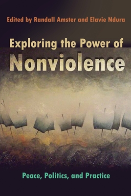 Exploring the Power of Nonviolence: Peace, Politics, and Practice (Syracuse Studies on Peace and Conflict Resolution)