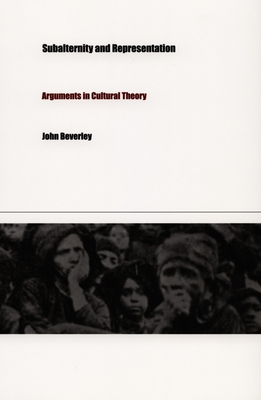 Subalternity and Representation: Arguments in Cultural Theory (Post-Contemporary Interventions)