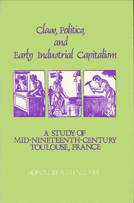 Class, Politics, and Early Industrial Capitalism: A Study of Mid-Nineteenth Century Toulouse, France (Studies in European Social History)