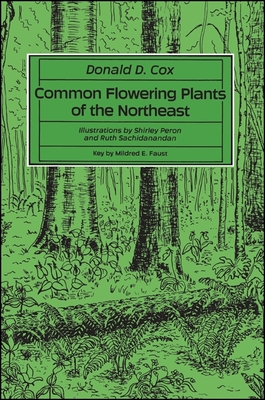 Common Flowering Plants of The Northeast