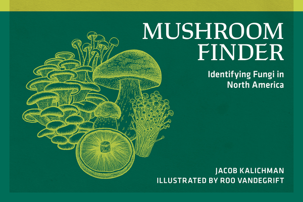 Mushroom Finder: Identifying Fungi in North America