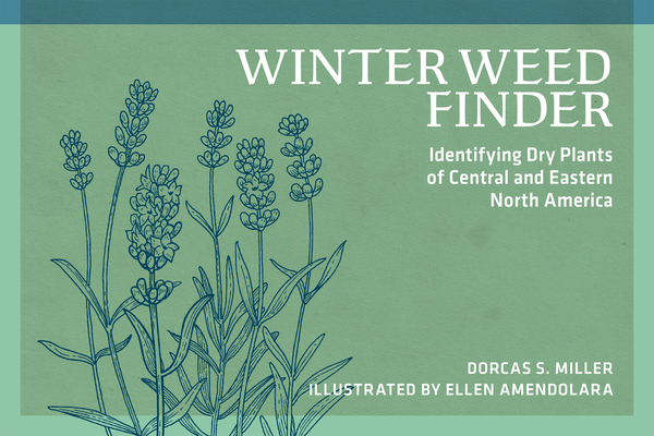 Winter Weed Finder: Identifying Dry Plants of Central and Eastern North America (Revised)