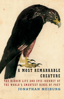 A Most Remarkable Creature: The Hidden Life of the World's Smartest Birds of Prey