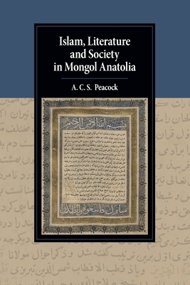 Islam, Literature and Society in Mongol Anatolia (Cambridge Studies in Islamic Civilization)