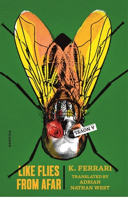 LIKE FLIES FROM AFAR: A NOVEL