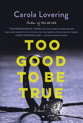 Too Good to Be True: A Novel