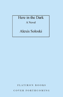 Here in the Dark: A Novel