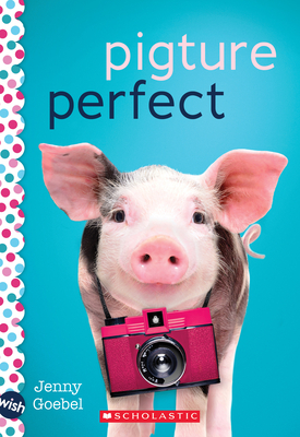 Image for Pigture Perfect: A Wish Novel Pigture Perfect: A Wish Novel