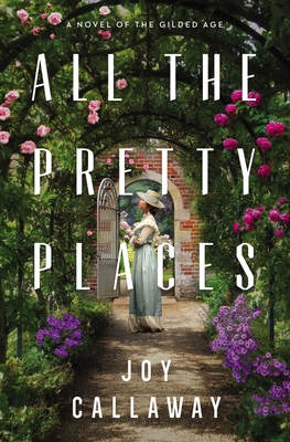 Image for ALL THE PRETTY PLACES: A NOVEL OF THE GILDED AGE