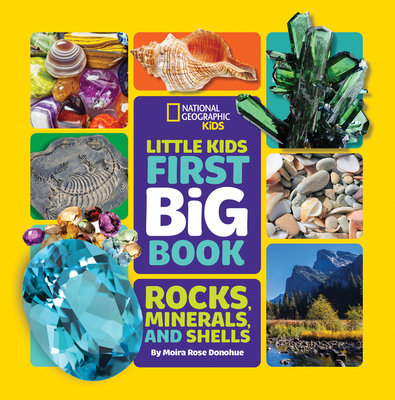 Image for LITTLE KIDS FIRST BIG BOOK OF ROCKS, MINERALS & SHELLS
