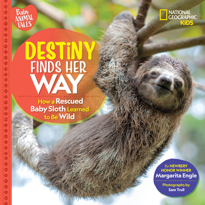 Destiny Finds Her Way: How a Rescued Baby Sloth Learned to Be Wild (Baby Animal Tales)