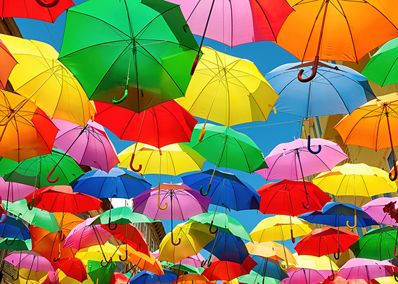 Image for All the Umbrellas 1000 Piece Puzzle