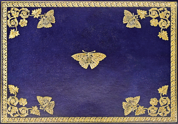 Gilded Butterflies Note Cards (14 cards, 15 self-sealing envelopes)