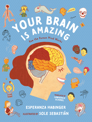 Your Brain Is Amazing: How the Human Mind Works