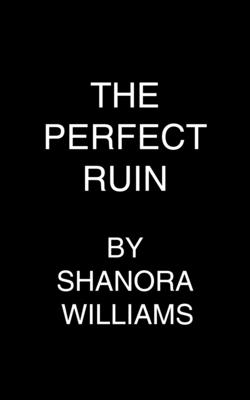 Image for The Perfect Ruin: A Riveting New Psychological Thriller