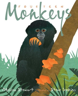 Image for Fourteen Monkeys: A Rain Forest Rhyme Fourteen Monkeys: A Rain Forest Rhyme