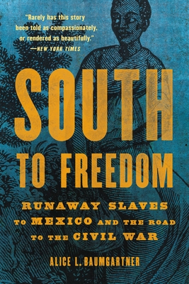 Image for South to Freedom: Runaway Slaves to Mexico and the Road to the Civil War South to Freedom: Runaway Slaves to Mexico and the Road to the Civil War