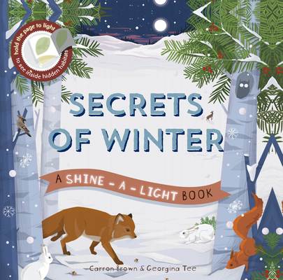 Secrets of Winter Secrets (A Shine-A-Light Book )