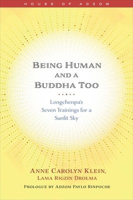 Being Human And A Buddha Too: Longchenpa's Sevenfold Mind Training For A Sunlit Sky
