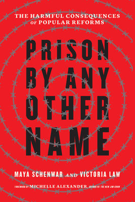 Image for Prison by Any Other Name: The Harmful Consequences of Popular Reforms Prison by Any Other Name: The Harmful Consequences of Popular Reforms