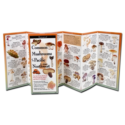 Earth Sky + Water FoldingGuide - Common Mushrooms of the Pacific Northwest - 10 Panel Foldable Laminated Nature Identification Guide