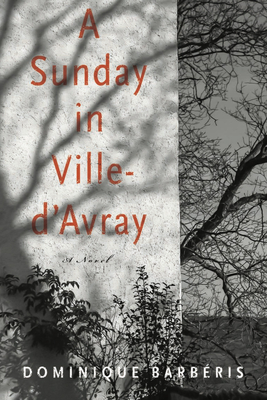 A Sunday in Ville-d'Avray: A Novel
