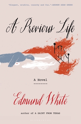 A Previous Life: Another Posthumous Novel (Wolf Brother)