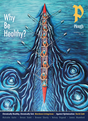 Plough Quarterly No. 44 Why Be Healthy (Plough Quarterly, 44)