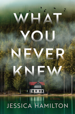 Image for What You Never Knew: A Novel What You Never Knew: A Novel
