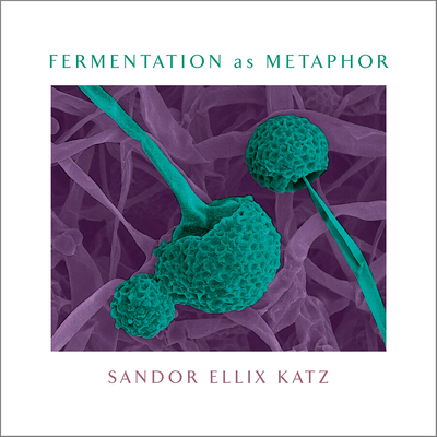Image for Fermentation as Metaphor: From the Author of the Bestselling 'The Art of Fermentation'