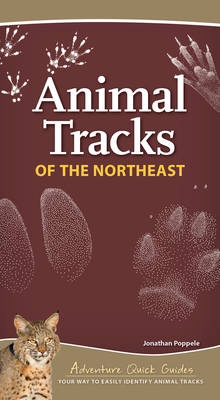 Image for Animal Tracks of the Northeast: Your Way to Easily Identify Animal Tracks (Adventure Quick Guides)