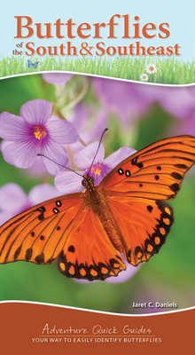 BUTTERFLIES OF THE SOUTH & SOUTHEAST: YOUR WAY TO EASILY IDENTIFY BUTTERFLIES