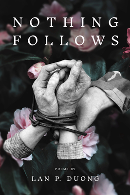 Nothing Follows (Diasporic Vietnamese Artists Network Series)