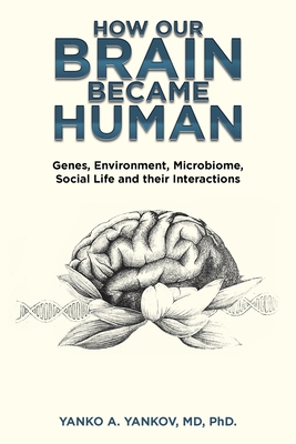 How Our Brain Became Human: Genes, Environment, Microbiome, Social Life and their Interactions