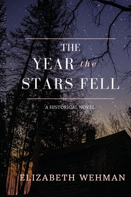 Image for The Year the Stars Fell (The Newburg Chronicles) The Year the Stars Fell (The Newburg Chronicles)
